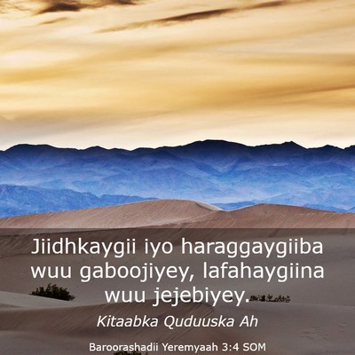 Picture 03 - Baroorashadii Yeremyaah 3:4 SOM - Jiidhkaygii iyo haraggaygiiba wuu gaboojiyey, - Bible Verse Picture