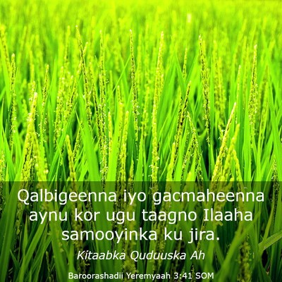 Picture 03 - Baroorashadii Yeremyaah 3:41 SOM - Qalbigeenna iyo gacmaheenna aynu kor ugu taagno - Bible Verse Picture