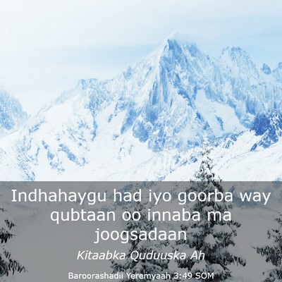 Picture 03 - Baroorashadii Yeremyaah 3:49 SOM - Indhahaygu had iyo goorba way qubtaan oo innaba - Bible Verse Picture