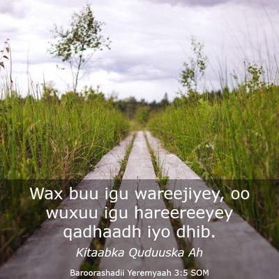 Picture 03 - Baroorashadii Yeremyaah 3:5 SOM - Wax buu igu wareejiyey, oo wuxuu igu hareereeyey - Bible Verse Picture