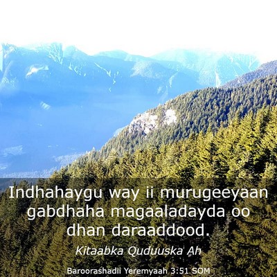 Picture 03 - Baroorashadii Yeremyaah 3:51 SOM - Indhahaygu way ii murugeeyaan gabdhaha - Bible Verse Picture