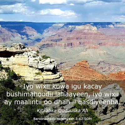 Picture 03 - Baroorashadii Yeremyaah 3:62 SOM - Iyo wixii kuwa igu kacay bushimahoodii lahaayeen, - Bible Verse Picture