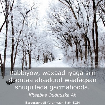 Picture 03 - Baroorashadii Yeremyaah 3:64 SOM - Rabbiyow, waxaad iyaga siin doontaa abaalgud - Bible Verse Picture
