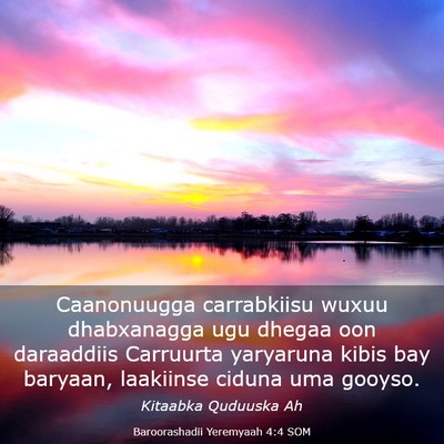 Picture 03 - Baroorashadii Yeremyaah 4:4 SOM - Caanonuugga carrabkiisu wuxuu dhabxanagga ugu - Bible Verse Picture