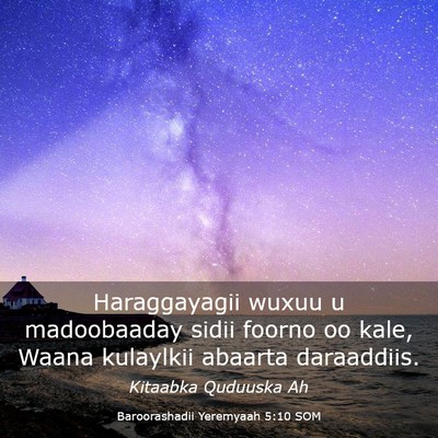 Picture 03 - Baroorashadii Yeremyaah 5:10 SOM - Haraggayagii wuxuu u madoobaaday sidii foorno oo - Bible Verse Picture