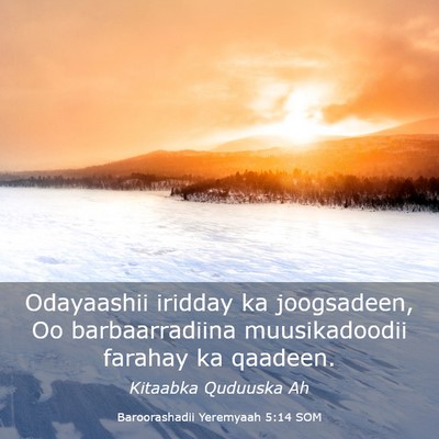 Picture 03 - Baroorashadii Yeremyaah 5:14 SOM - Odayaashii iridday ka joogsadeen, Oo - Bible Verse Picture