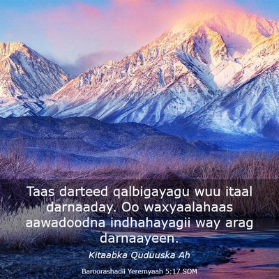 Picture 03 - Baroorashadii Yeremyaah 5:17 SOM - Taas darteed qalbigayagu wuu itaal darnaaday. Oo - Bible Verse Picture