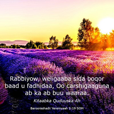 Picture 03 - Baroorashadii Yeremyaah 5:19 SOM - Rabbiyow, weligaaba sida boqor baad u fadhidaa, - Bible Verse Picture