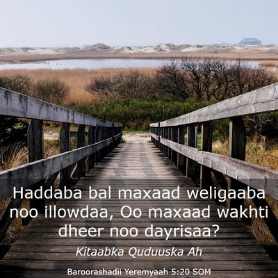 Picture 03 - Baroorashadii Yeremyaah 5:20 SOM - Haddaba bal maxaad weligaaba noo illowdaa, Oo - Bible Verse Picture