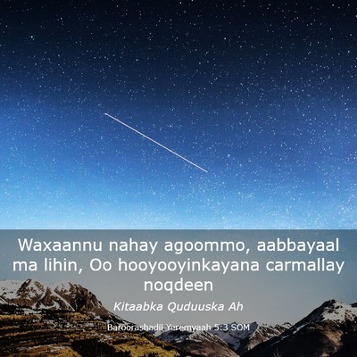 Picture 03 - Baroorashadii Yeremyaah 5:3 SOM - Waxaannu nahay agoommo, aabbayaal ma lihin, Oo - Bible Verse Picture