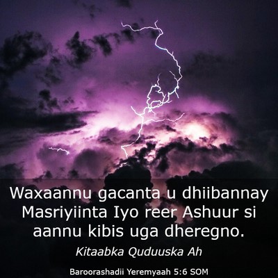 Picture 03 - Baroorashadii Yeremyaah 5:6 SOM - Waxaannu gacanta u dhiibannay Masriyiinta Iyo - Bible Verse Picture