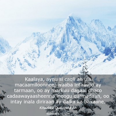 Picture 03 - Baxniintii 1:10 SOM - Kaalaya, aynu si caqli ah ula macaamiloonnee; - Bible Verse Picture