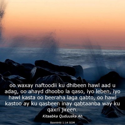 Picture 03 - Baxniintii 1:14 SOM - oo waxay naftoodii ku dhibeen hawl aad u adag, oo - Bible Verse Picture