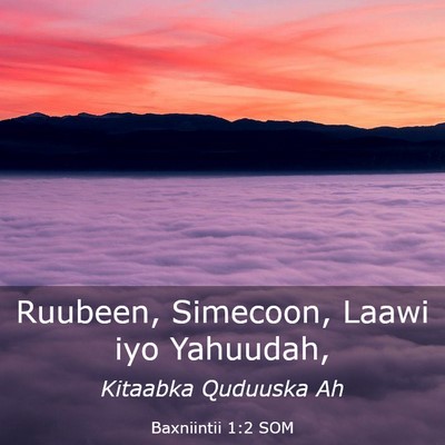 Picture 03 - Baxniintii 1:2 SOM - Ruubeen, Simecoon, Laawi iyo - Bible Verse Picture