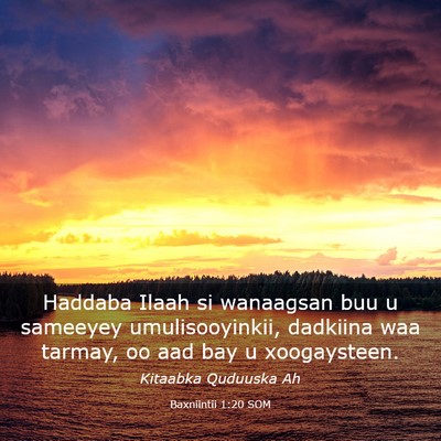 Picture 03 - Baxniintii 1:20 SOM - Haddaba Ilaah si wanaagsan buu u sameeyey - Bible Verse Picture