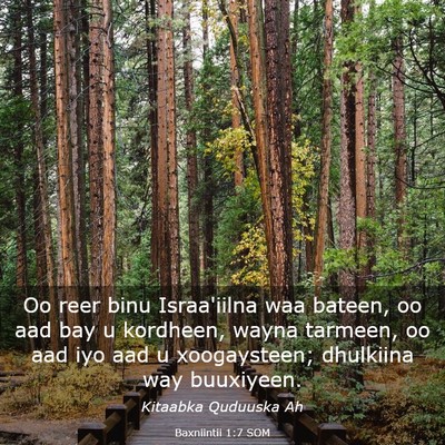 Picture 03 - Baxniintii 1:7 SOM - Oo reer binu Israa'iilna waa bateen, oo aad bay u - Bible Verse Picture