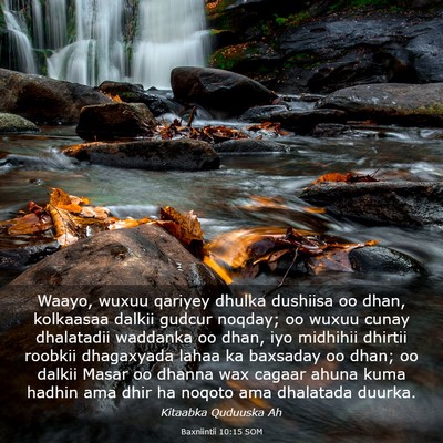 Picture 03 - Baxniintii 10:15 SOM - Waayo, wuxuu qariyey dhulka dushiisa oo dhan, - Bible Verse Picture
