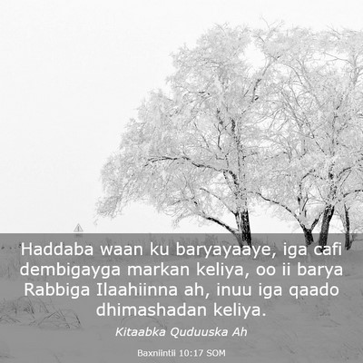 Picture 03 - Baxniintii 10:17 SOM - Haddaba waan ku baryayaaye, iga cafi dembigayga - Bible Verse Picture