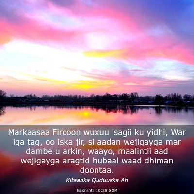 Picture 03 - Baxniintii 10:28 SOM - Markaasaa Fircoon wuxuu isagii ku yidhi, War iga - Bible Verse Picture
