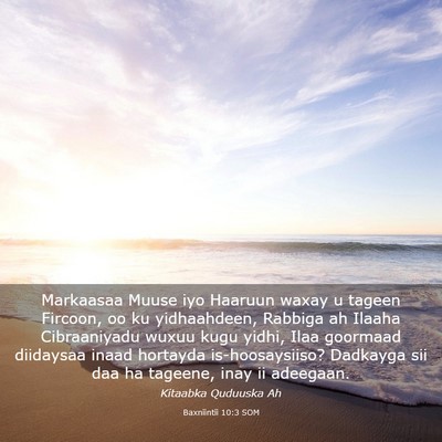Picture 03 - Baxniintii 10:3 SOM - Markaasaa Muuse iyo Haaruun waxay u tageen - Bible Verse Picture