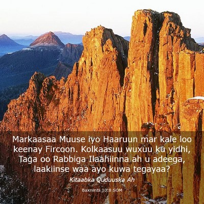 Picture 03 - Baxniintii 10:8 SOM - Markaasaa Muuse iyo Haaruun mar kale loo keenay - Bible Verse Picture