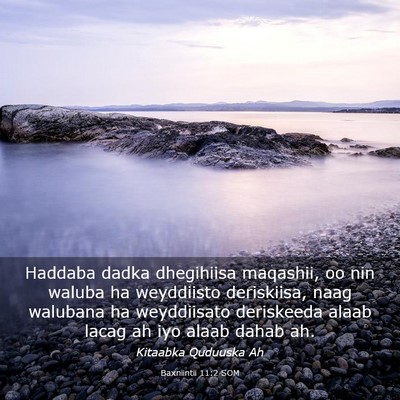 Picture 03 - Baxniintii 11:2 SOM - Haddaba dadka dhegihiisa maqashii, oo nin waluba - Bible Verse Picture