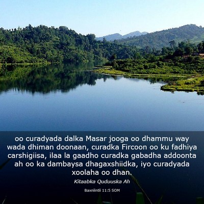 Picture 03 - Baxniintii 11:5 SOM - oo curadyada dalka Masar jooga oo dhammu way wada - Bible Verse Picture