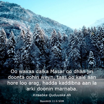 Picture 03 - Baxniintii 11:6 SOM - Oo waxaa dalka Masar oo dhan jiri doonta oohin - Bible Verse Picture