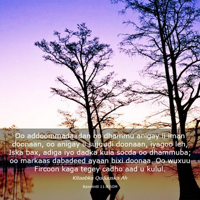 Picture 03 - Baxniintii 11:8 SOM - Oo addoommadaadan oo dhammu anigay ii iman - Bible Verse Picture