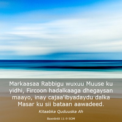 Picture 03 - Baxniintii 11:9 SOM - Markaasaa Rabbigu wuxuu Muuse ku yidhi, Fircoon - Bible Verse Picture