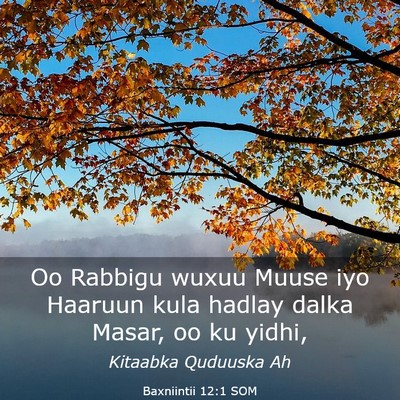 Picture 03 - Baxniintii 12:1 SOM - Oo Rabbigu wuxuu Muuse iyo Haaruun kula hadlay - Bible Verse Picture