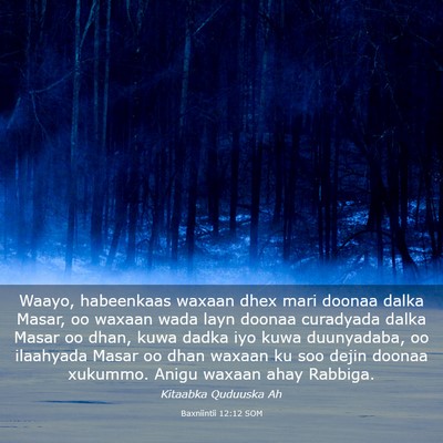 Picture 03 - Baxniintii 12:12 SOM - Waayo, habeenkaas waxaan dhex mari doonaa dalka - Bible Verse Picture