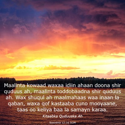 Picture 03 - Baxniintii 12:16 SOM - Maalinta kowaad waxaa idiin ahaan doona shir - Bible Verse Picture