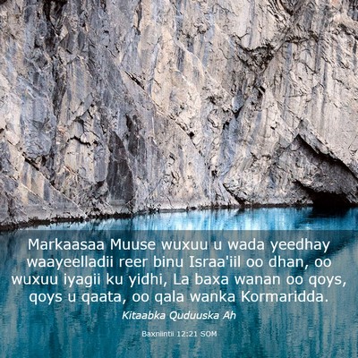 Picture 03 - Baxniintii 12:21 SOM - Markaasaa Muuse wuxuu u wada yeedhay waayeelladii - Bible Verse Picture