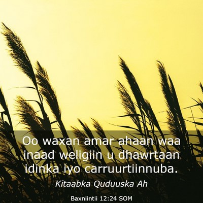 Picture 03 - Baxniintii 12:24 SOM - Oo waxan amar ahaan waa inaad weligiin u - Bible Verse Picture