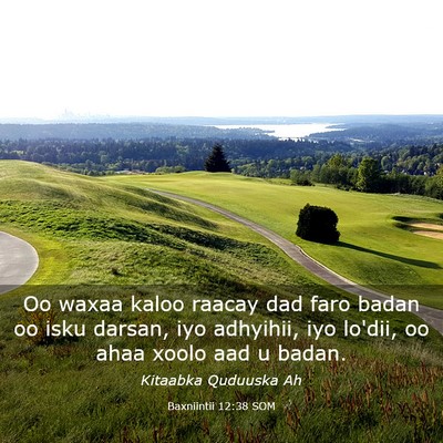 Picture 03 - Baxniintii 12:38 SOM - Oo waxaa kaloo raacay dad faro badan oo isku - Bible Verse Picture