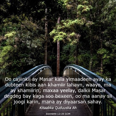 Picture 03 - Baxniintii 12:39 SOM - Oo cajiinkii ay Masar kala yimaadeen ayay ka - Bible Verse Picture