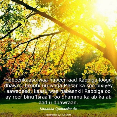 Picture 03 - Baxniintii 12:42 SOM - Habeenkaasu waa habeen aad Rabbiga loogu dhawro, - Bible Verse Picture