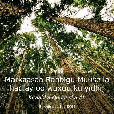 Picture 03 - Baxniintii 13:1 SOM - Markaasaa Rabbigu Muuse la hadlay oo wuxuu ku - Bible Verse Picture