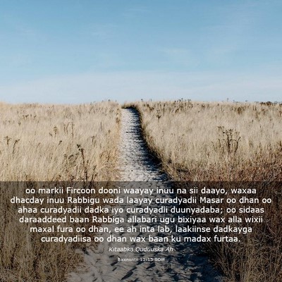 Picture 03 - Baxniintii 13:15 SOM - oo markii Fircoon dooni waayay inuu na sii daayo, - Bible Verse Picture