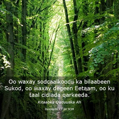 Picture 03 - Baxniintii 13:20 SOM - Oo waxay sodcaalkoodii ka bilaabeen Sukod, oo - Bible Verse Picture