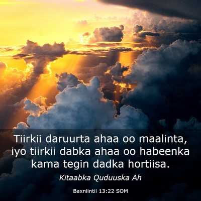 Picture 03 - Baxniintii 13:22 SOM - Tiirkii daruurta ahaa oo maalinta, iyo tiirkii - Bible Verse Picture
