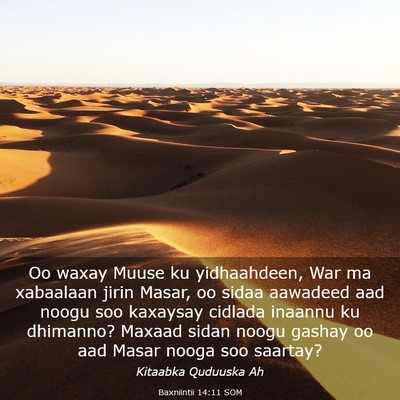 Picture 03 - Baxniintii 14:11 SOM - Oo waxay Muuse ku yidhaahdeen, War ma xabaalaan - Bible Verse Picture
