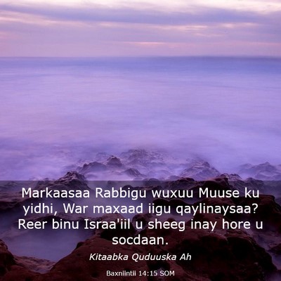 Picture 03 - Baxniintii 14:15 SOM - Markaasaa Rabbigu wuxuu Muuse ku yidhi, War - Bible Verse Picture