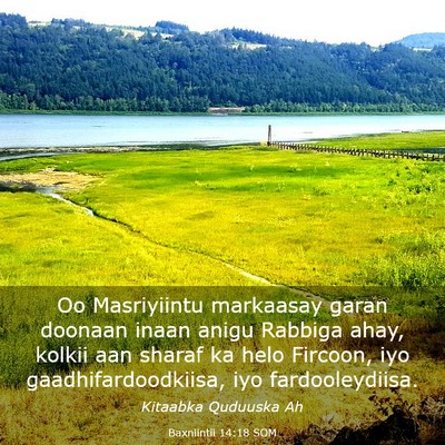 Picture 03 - Baxniintii 14:18 SOM - Oo Masriyiintu markaasay garan doonaan inaan - Bible Verse Picture