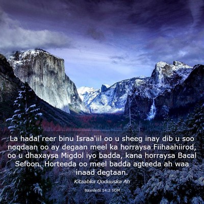 Picture 03 - Baxniintii 14:2 SOM - La hadal reer binu Israa'iil oo u sheeg inay dib - Bible Verse Picture