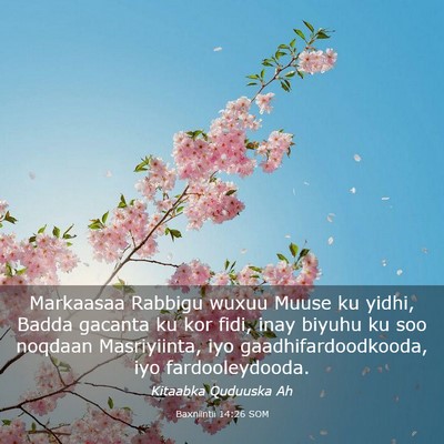 Picture 03 - Baxniintii 14:26 SOM - Markaasaa Rabbigu wuxuu Muuse ku yidhi, Badda - Bible Verse Picture