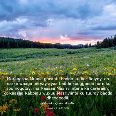 Picture 03 - Baxniintii 14:27 SOM - Markaasaa Muuse gacantii badda ku kor fidiyey, oo - Bible Verse Picture