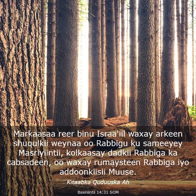 Picture 03 - Baxniintii 14:31 SOM - Markaasaa reer binu Israa'iil waxay arkeen - Bible Verse Picture