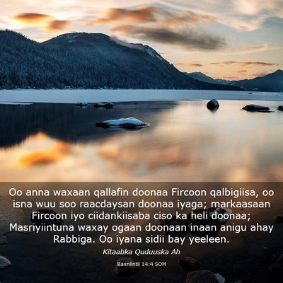 Picture 03 - Baxniintii 14:4 SOM - Oo anna waxaan qallafin doonaa Fircoon - Bible Verse Picture